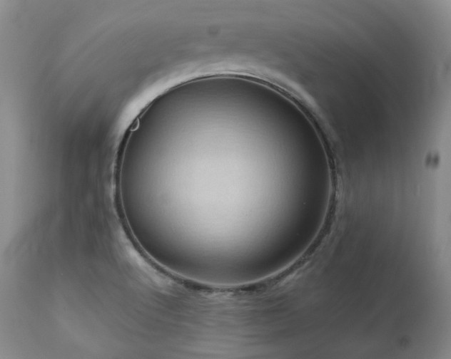 X0000113051512200908271517