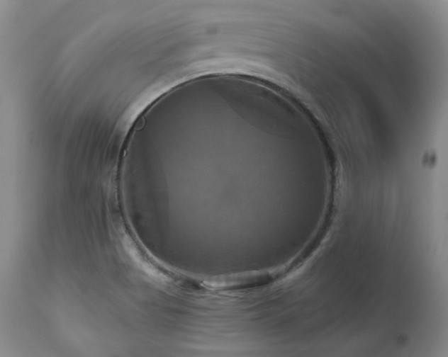 X0000113051513200908271517