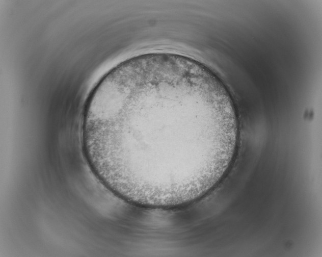 X0000113051514200908271518