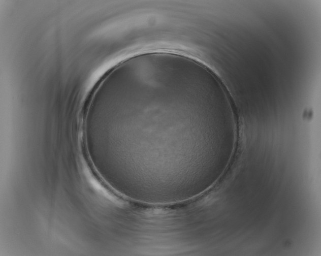 X0000113051515200908271518