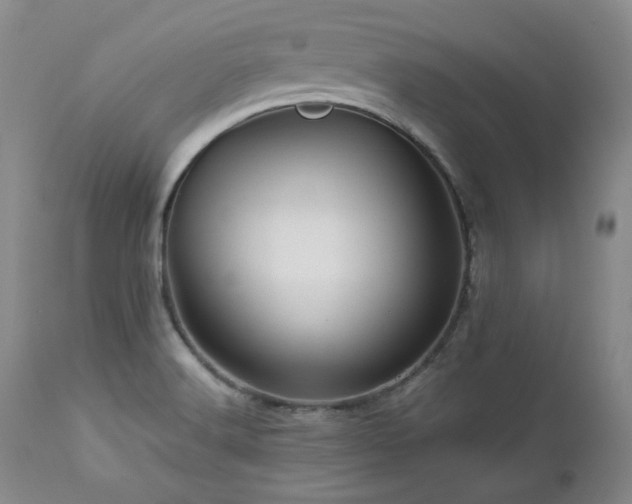 X0000113051516200908271518