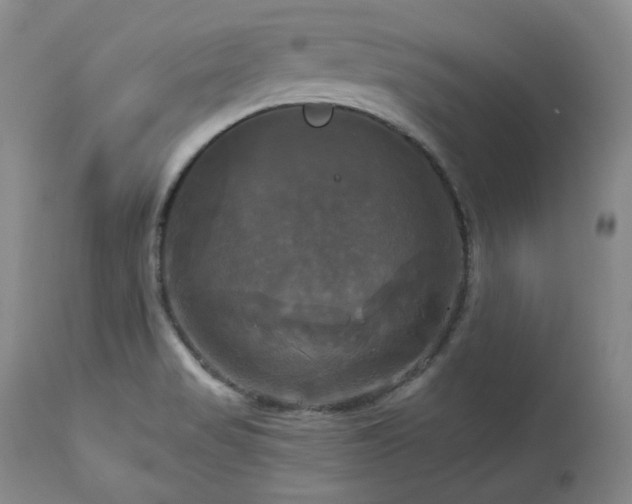 X0000113051517200908271518
