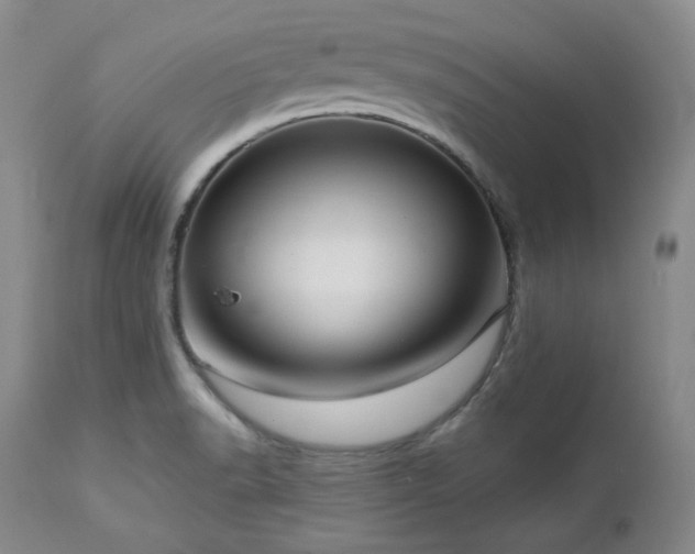 X0000113051518200908271518