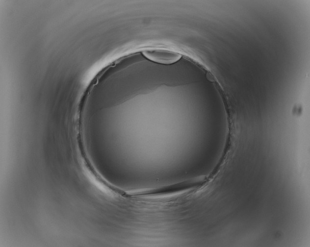 X0000113051519200908271518
