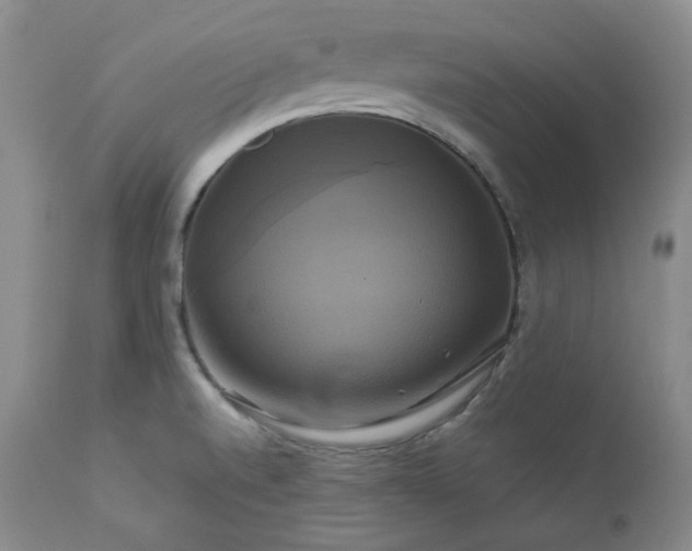 X0000113051520200908271518