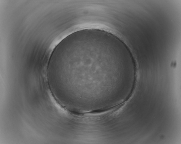 X0000113051521200908271518