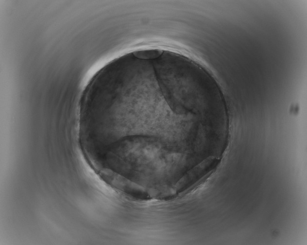 X0000113051522200908271518