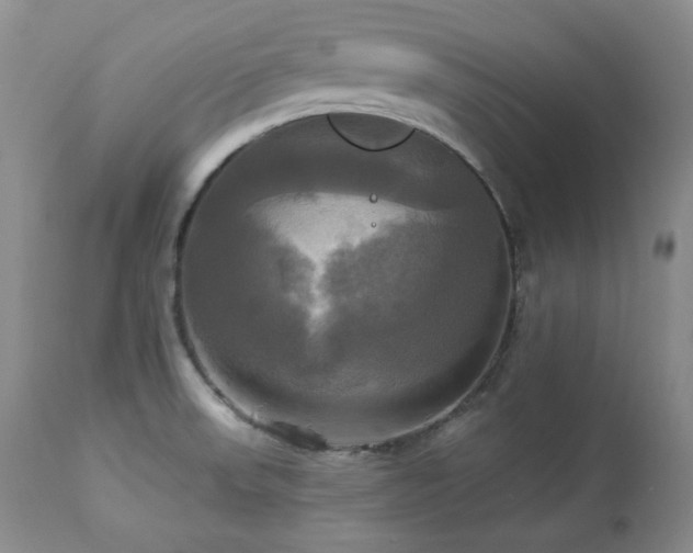 X0000113051523200908271518