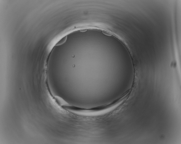 X0000113051524200908271518