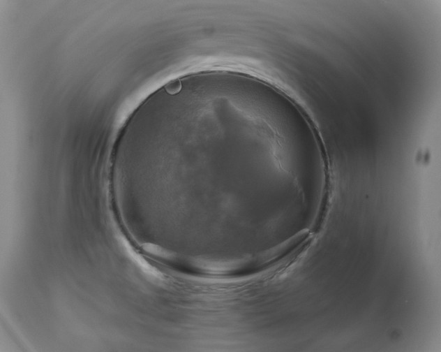 X0000113051525200908271518