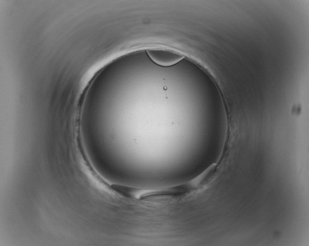X0000113051526200908271518