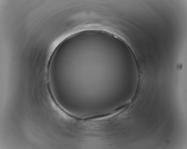 X0000113051527200908271518