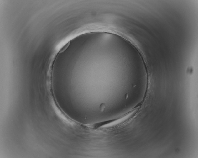 X0000113051528200908271518