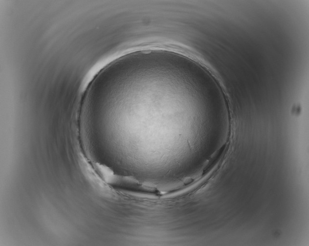 X0000113051530200908271518