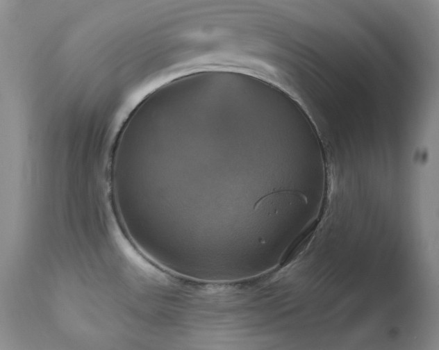 X0000113051531200908271518