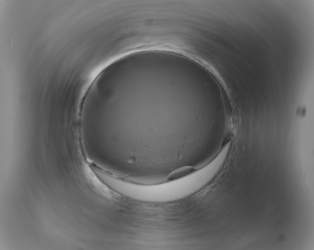 X0000113051532200908271518