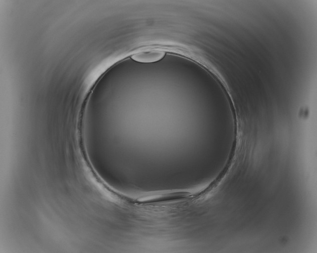 X0000113051533200908271518