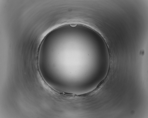 X0000113051534200908271518