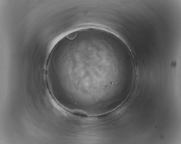 X0000113051535200908271518