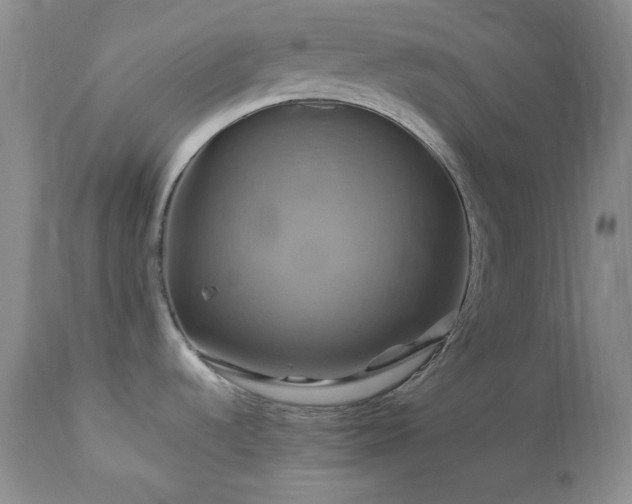 X0000113051536200908271518