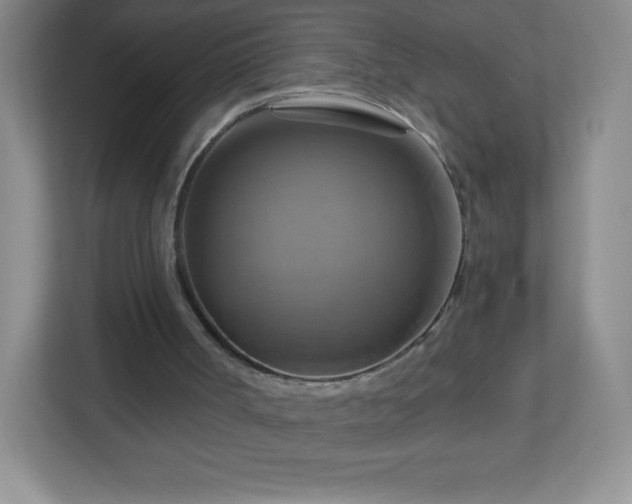 X0000113050002200909031341