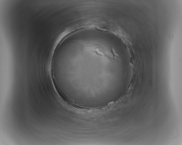 X0000113050003200909031341