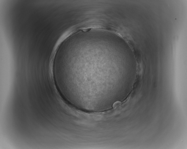 X0000113050004200909031341