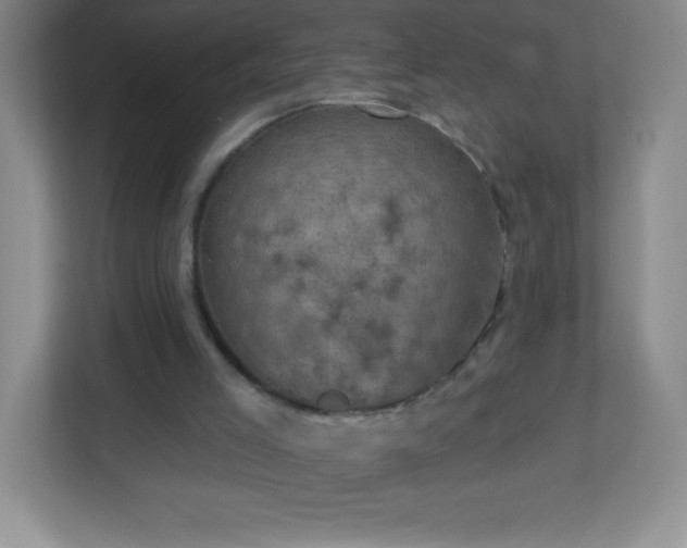 X0000113050005200909031341