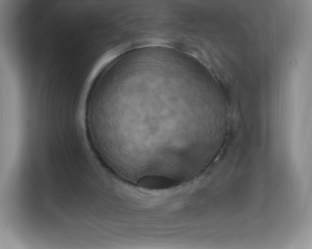 X0000113050006200909031341