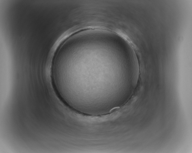 X0000113050007200909031341