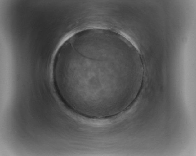 X0000113050008200909031341