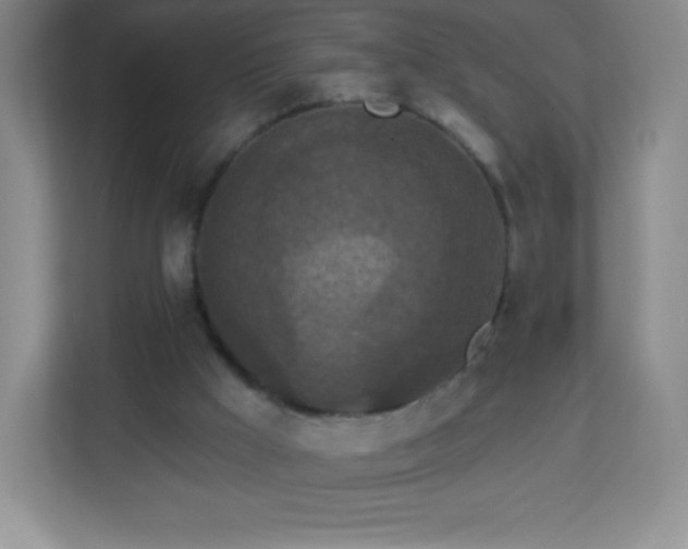 X0000113050009200909031341