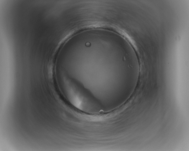 X0000113050010200909031341