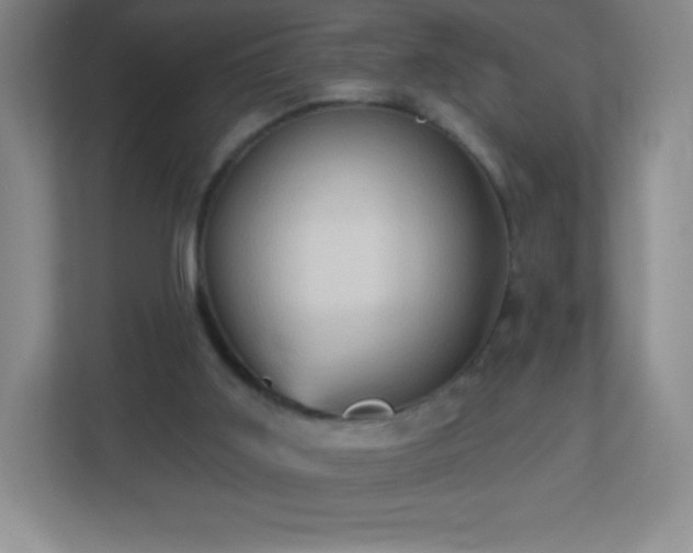 X0000113050011200909031341