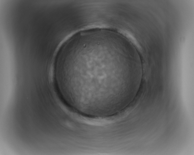 X0000113050012200909031341