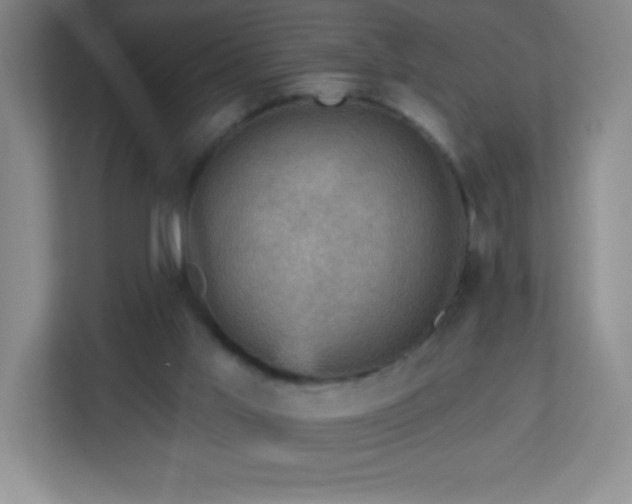 X0000113050013200909031341