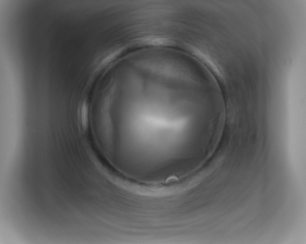 X0000113050014200909031341