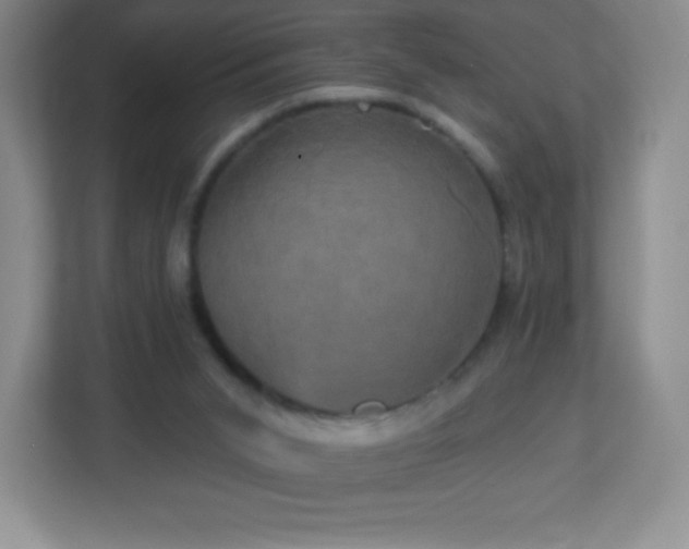 X0000113050015200909031341