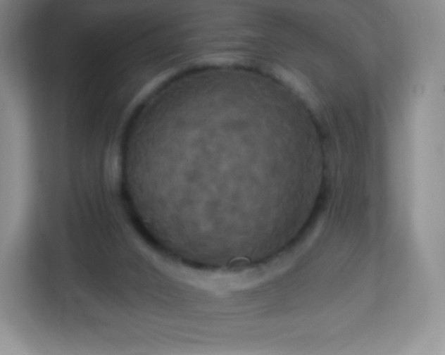 X0000113050016200909031341