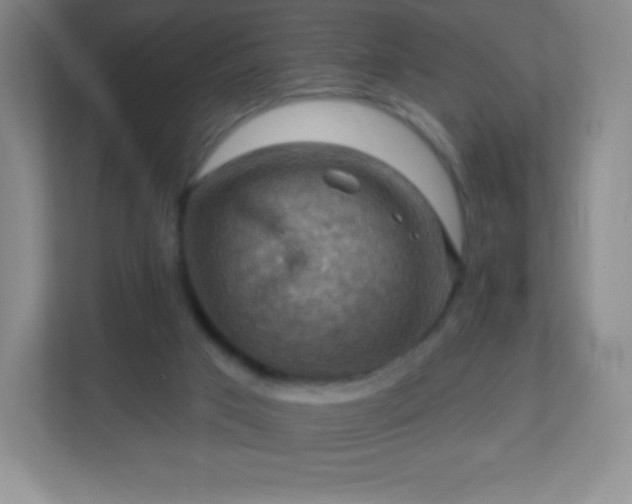 X0000113050017200909031341