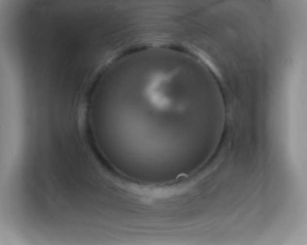 X0000113050018200909031341