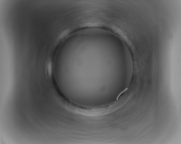 X0000113050019200909031341