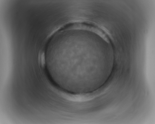 X0000113050020200909031341