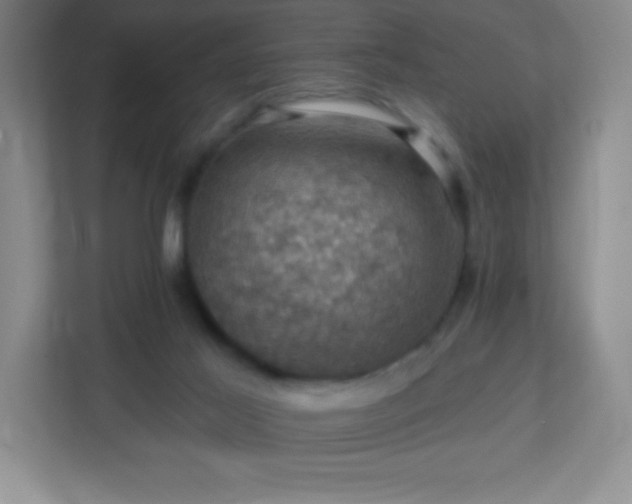 X0000113050021200909031341