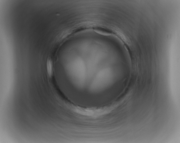 X0000113050022200909031341