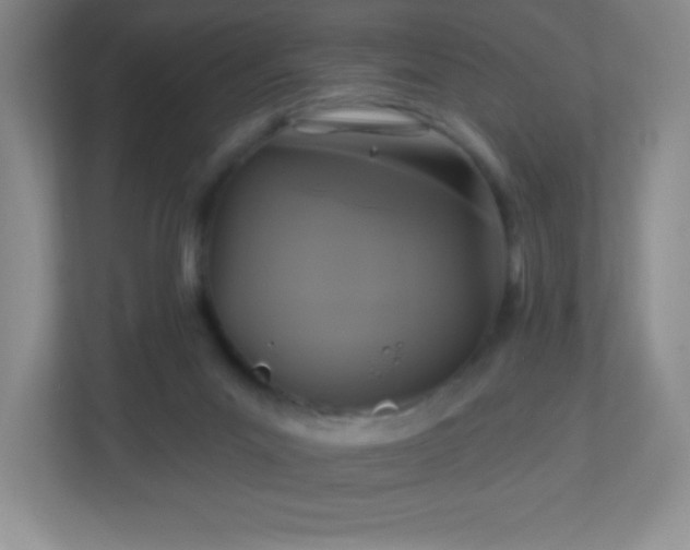 X0000113050023200909031341