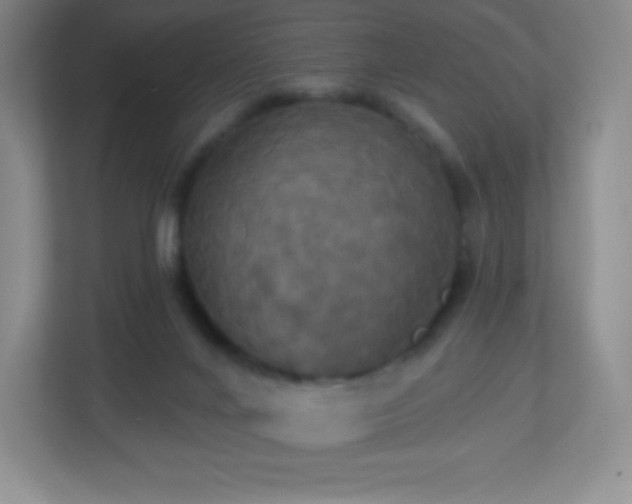 X0000113050024200909031341