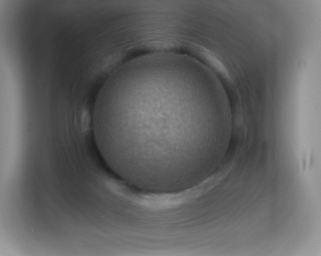 X0000113050025200909031341