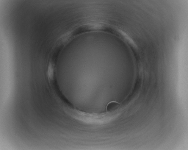 X0000113050026200909031341