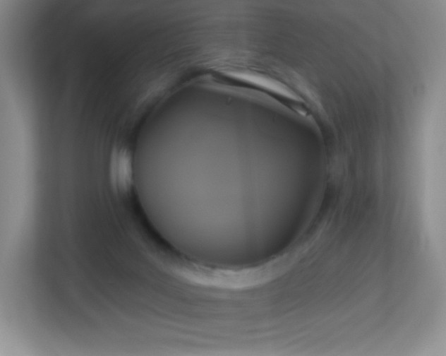 X0000113050027200909031341